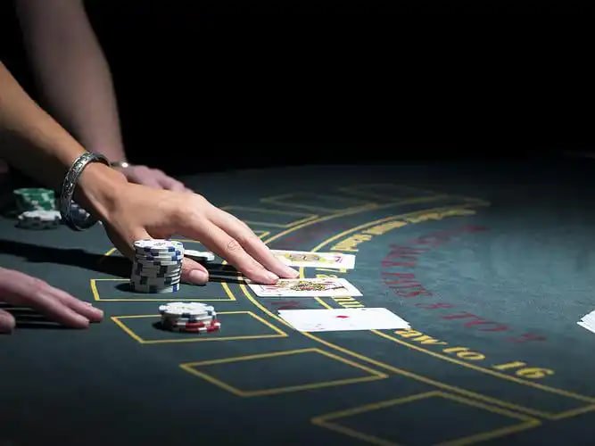Responsible gaming and adult-only notice for 5666 login slot visitors